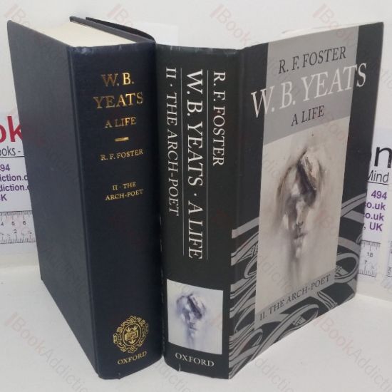 Picture of W B Yeats: A Life, Volume II - The Arch-Poet, 1915-1939