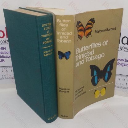 Picture of Butterflies of Trinidad and Tobago