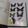 Picture of Butterflies of Trinidad and Tobago