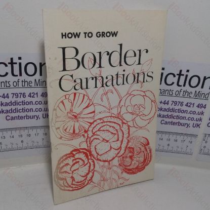 Picture of How to Grow Border Carnations