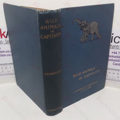 Picture of Wild Animals in Captivity, Being an Account of the Habits, Food, Management and Treatment of the Beasts and Birds of the Zoo, with Reminiscences and Anecdotes