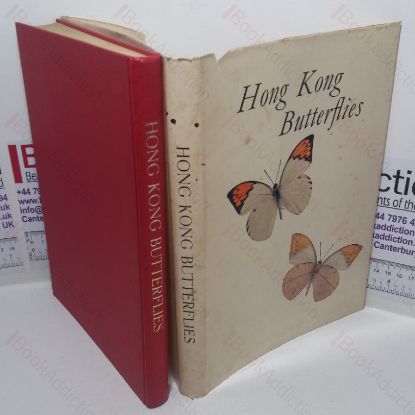 Picture of Hong Kong Butterflies