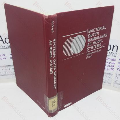 Picture of Bacterial Outer Membranes as Model Systems