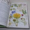 Picture of The Illustrated Flora of Britain and Northern Europe