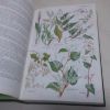 Picture of The Illustrated Flora of Britain and Northern Europe