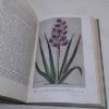 Picture of The Art of Botanical Illustration