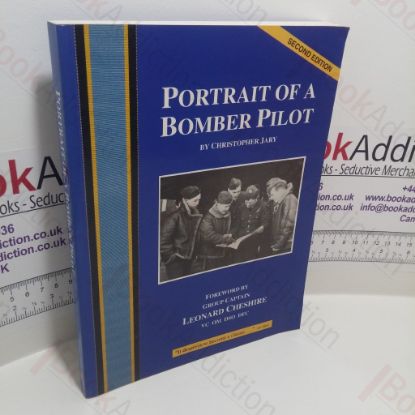 Picture of Portrait of a Bomber Pilot