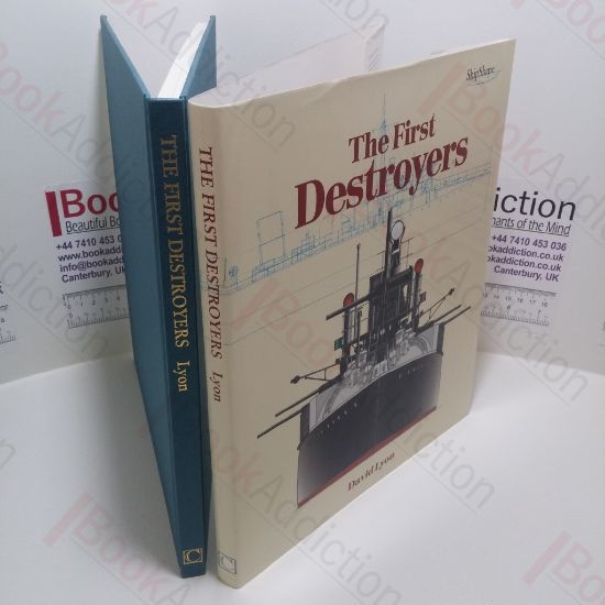 Picture of The First Destroyers