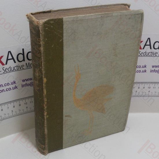 Picture of My Birds in Freedom and Captivity