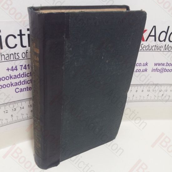 Picture of Lives of the Italian Painters : Michel Angelo / Raffaello