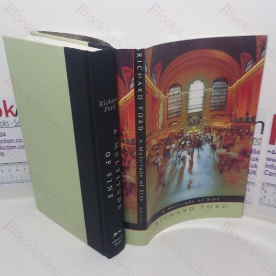 Picture of A Multitude of Sins: Stories