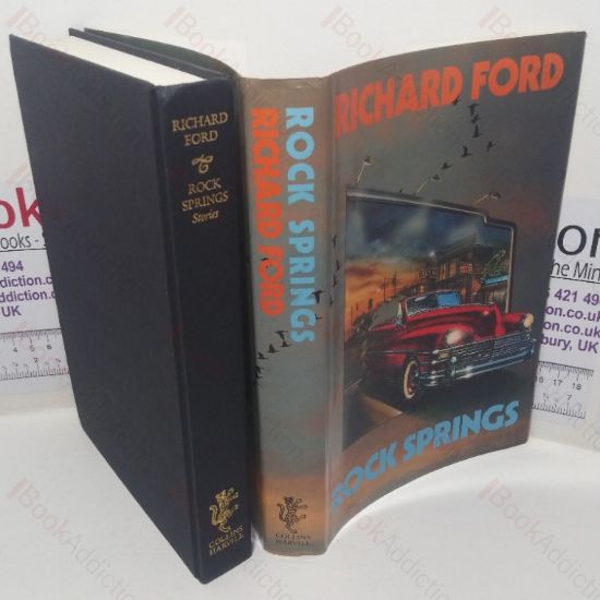 Picture of Rock Springs: Stories