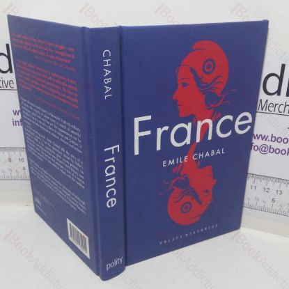 Picture of France (Polity Histories series)