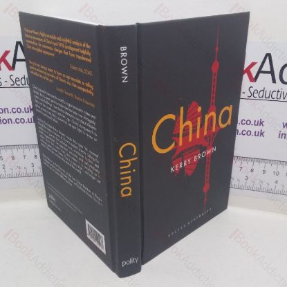 Picture of China (Polity Histories series)