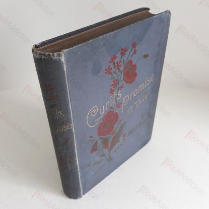 Picture of The Struggle for What? (Terrorism in West Germany)