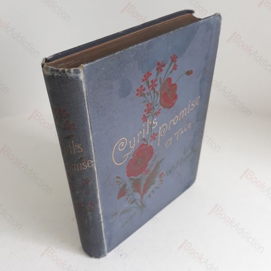 Picture of The Struggle for What? (Terrorism in West Germany)