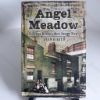 Picture of Angel Meadow : Victorian Britain's Most Savage Slum