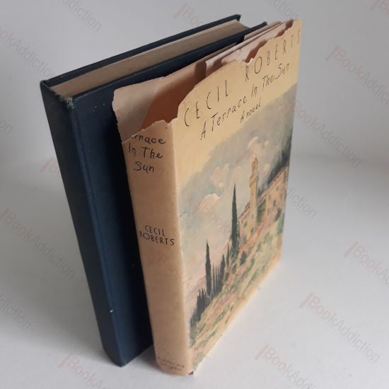 Picture of Terrace in the Sun