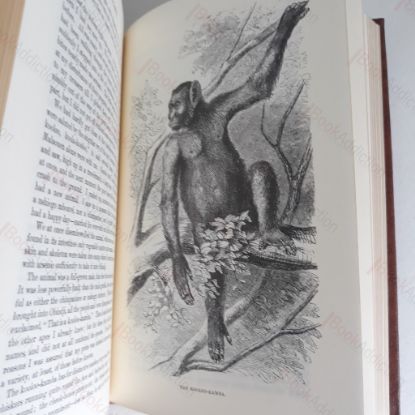 Picture of Explorations and Adventures in Equatorial Africa, with Accounts of the Manners and Customs of the People, And of the Chace of the Gorilla, Crocodile, Leopard, Elephant, Hippopotamus, and Other Animals