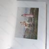 Picture of Happy England, As Painted by Helen Allingham, with Memoir and Descriptions