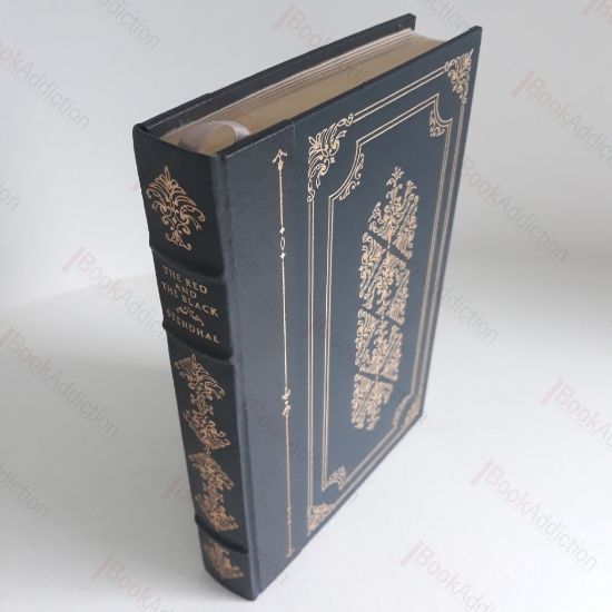 Picture of The Red and the Black