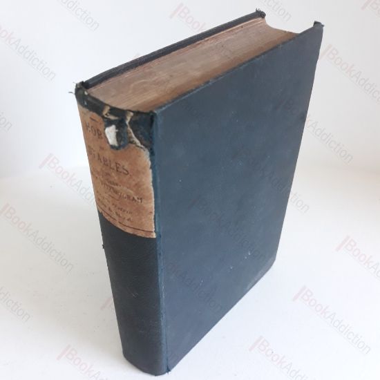 Picture of Horses and Stables