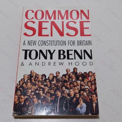 Picture of Caticons: 4000 Years of Art Imitating Cats