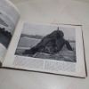 Picture of Round the Coast: An Album of Pictures from Photographs of the Chief Seaside Places of Interest in Great Britain and Ireland