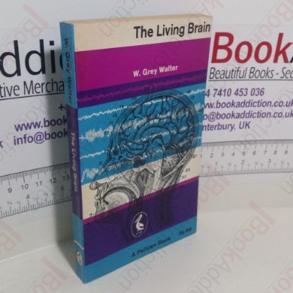 Picture of The Living Brain