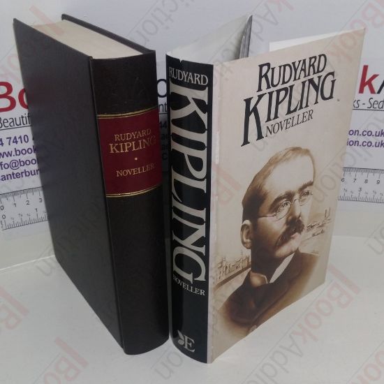 Picture of Rudyard Kipling: Noveller