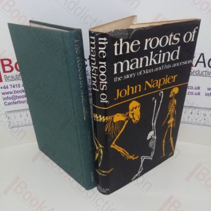 Picture of The Roots of Mankind