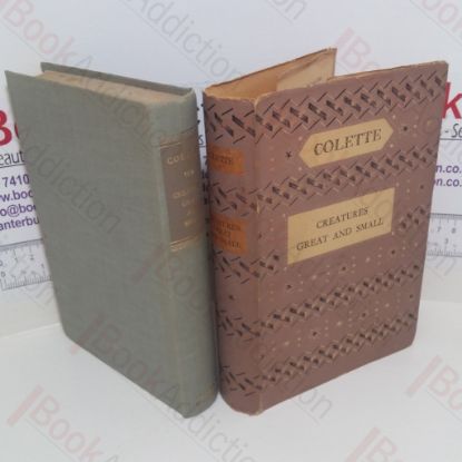 Picture of Creatures Great and Small