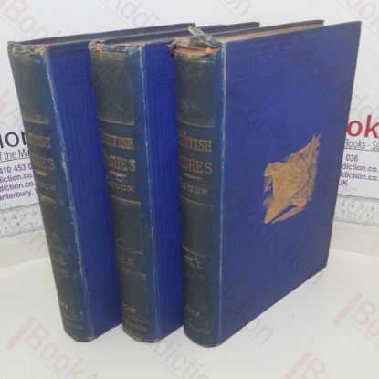 Picture of History of the Fishes of the British Islands (Volumes I-III)