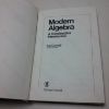 Picture of Modern Algebra: A Constructive Introduction