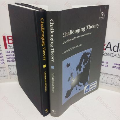 Picture of Challenging Theory: Discipline after Deconstruction (Studies in European Transition series,  Volume I)