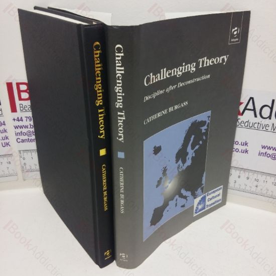 Picture of Challenging Theory: Discipline after Deconstruction (Studies in European Transition series,  Volume I)