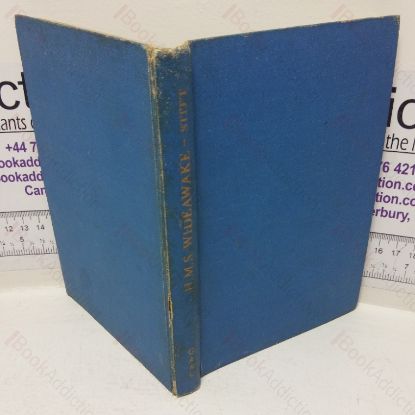 Picture of HMS Wideawake: Destroyer and Preserver