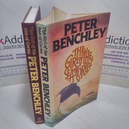 Picture of Girl of the Sea of Cortez