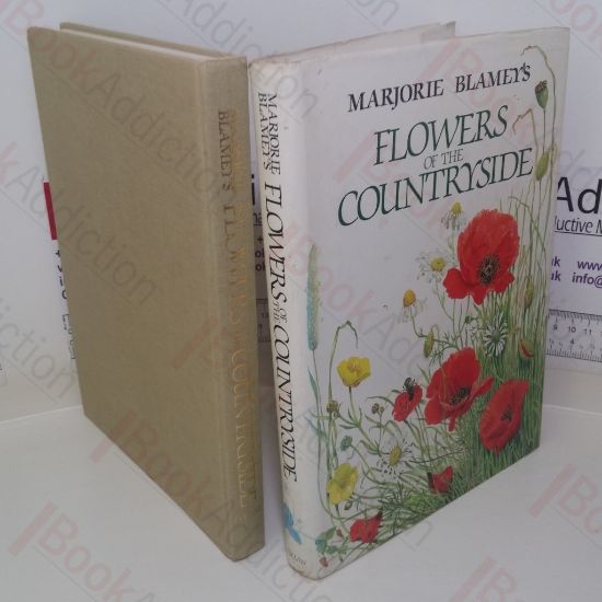 Picture of Flowers of the Countryside (Signed)