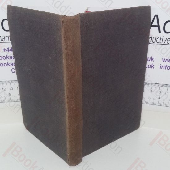 Picture of Twenty-Five Village Sermons