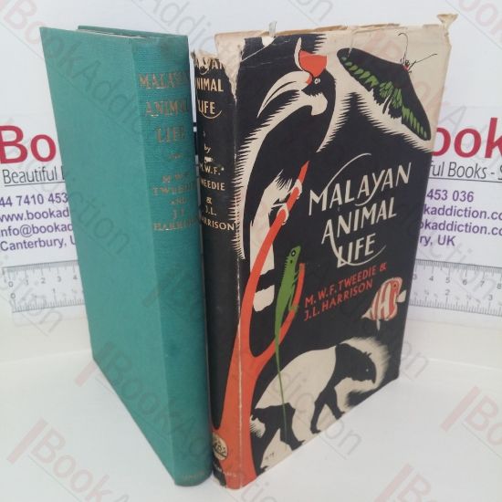 Picture of Malayan Animal Life