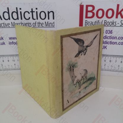 Picture of Illustrated A-Z Alphabet Book