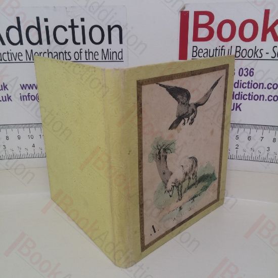 Picture of Illustrated A-Z Alphabet Book