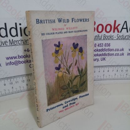 Picture of British Wild Flowers and Their Garden Varieties: Primroses, Cowslips, Pansies and Peas