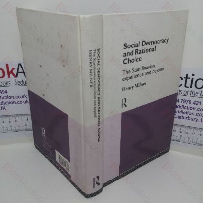 Picture of Social Democracy and Rational Choice: The Scandinavian Experience and Beyond