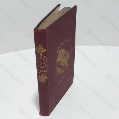 Picture of The Battle of Life : A Love Story