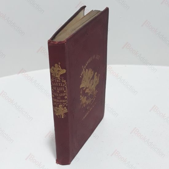 Picture of The Battle of Life : A Love Story