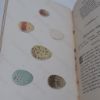Picture of Nests and Eggs of Familiar British Birds Described and Illustrated, Haunts and Habits of the Feathered Architects, and Their times and Modes of Building