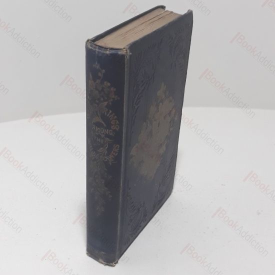 Picture of Wanderings Among the Wild Flowers : How to See and How to Gather Them