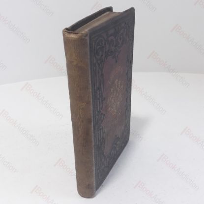 Picture of Flowers : Their Use and Beauty, Language and Sentiment